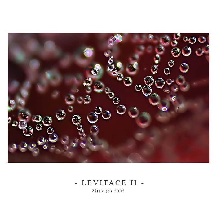** LEVITACE II. **