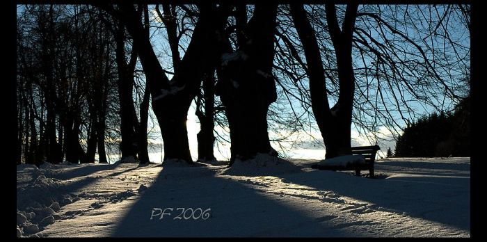 Přeji všem dobré světlo....