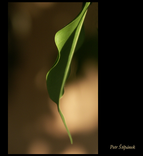 Pirueta