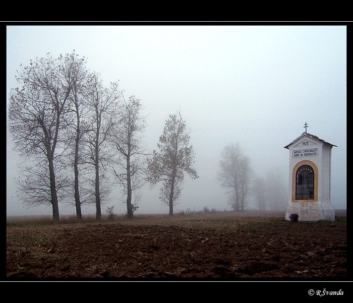 V mlze