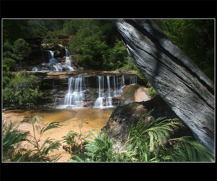 Wentworth Falls