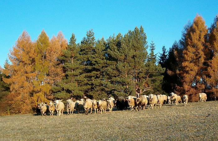 utekajme, už idú...