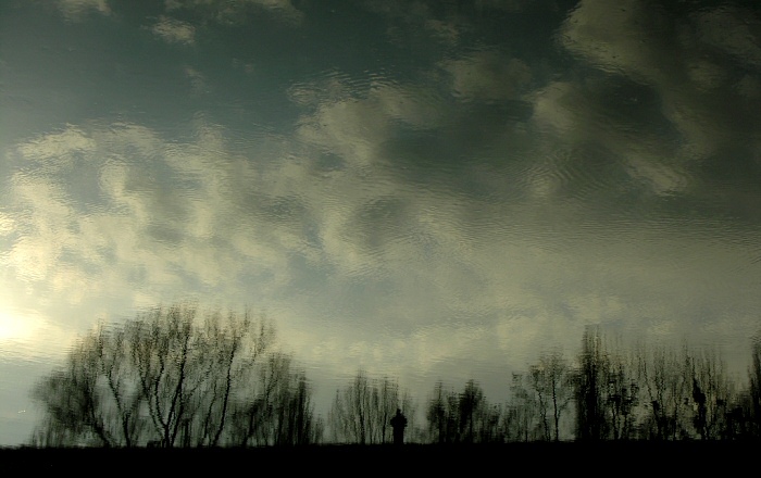 reflections