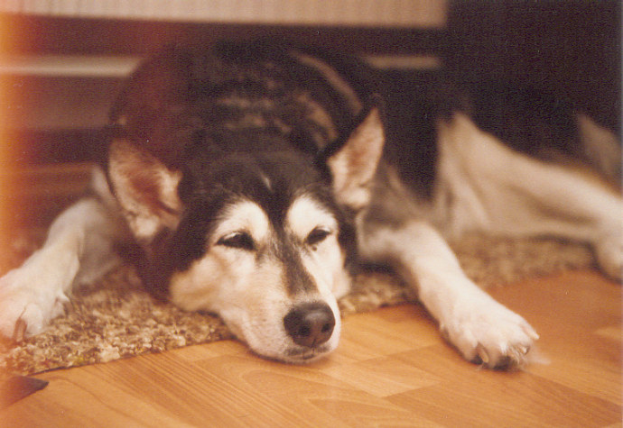 zulka