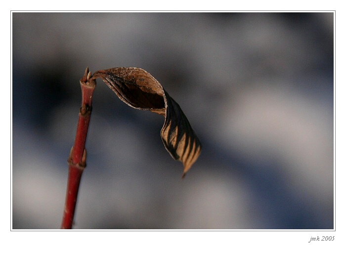 .. starý a nový ..