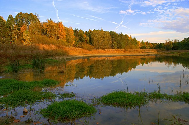 Podzimní krajina