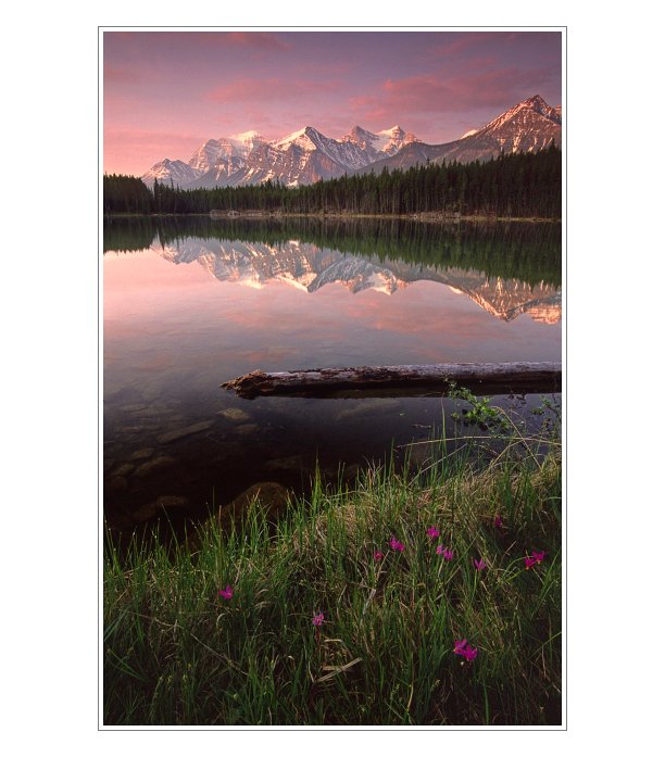 Herbert Lake II