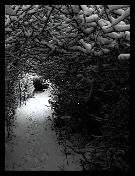 Snezno/lesny tunel