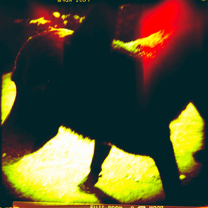 danny the dog