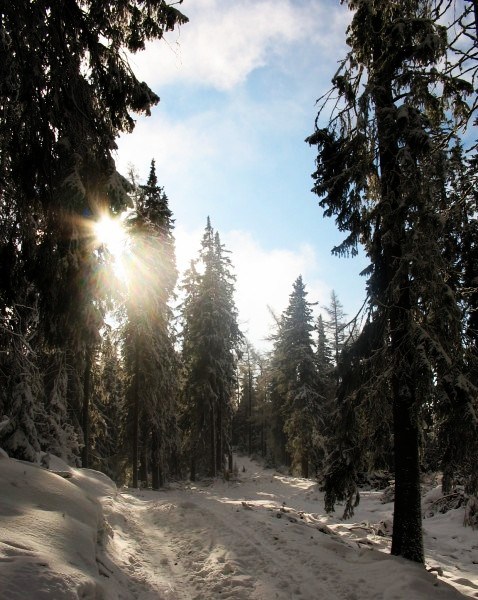 December