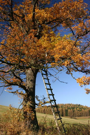 Rozhledna