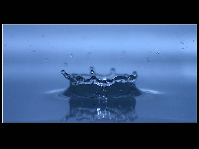 Blue crown