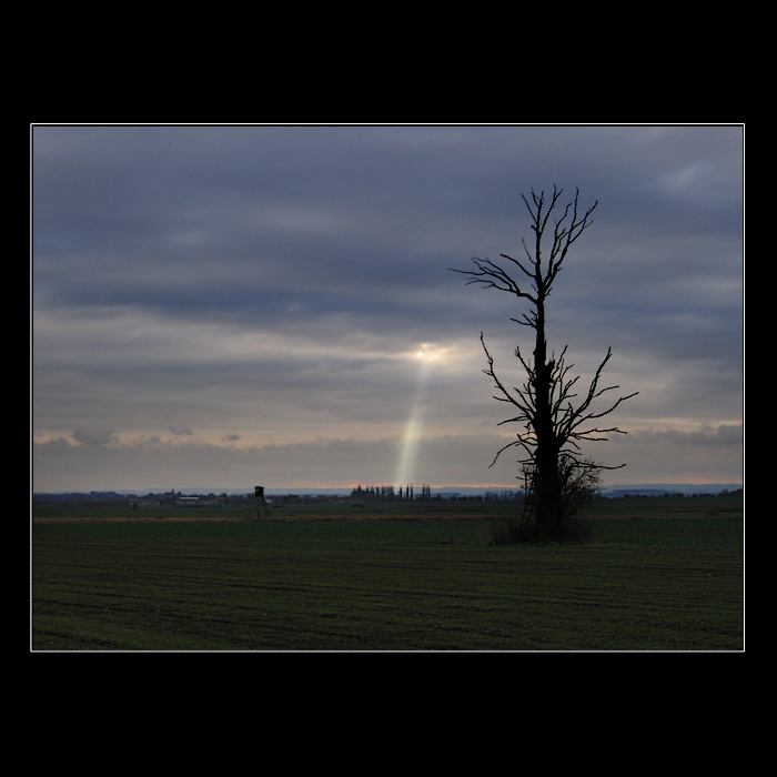 blízká setkání třetího druhu