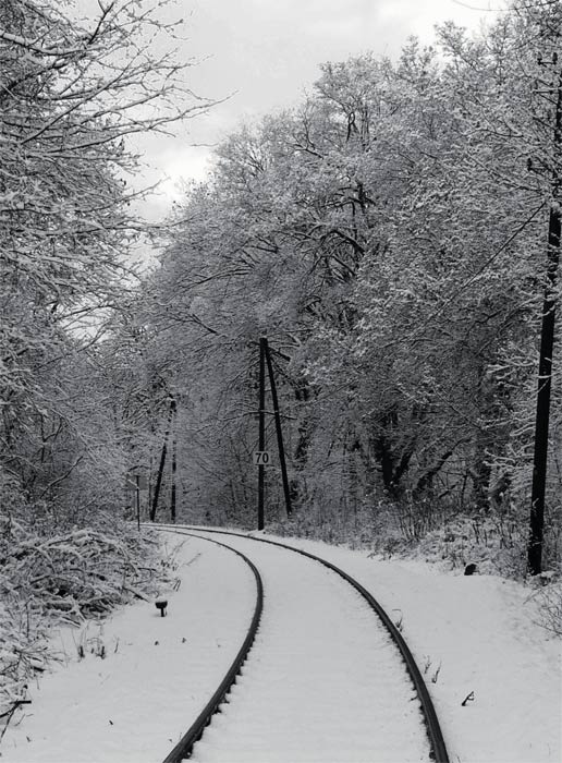 snow train