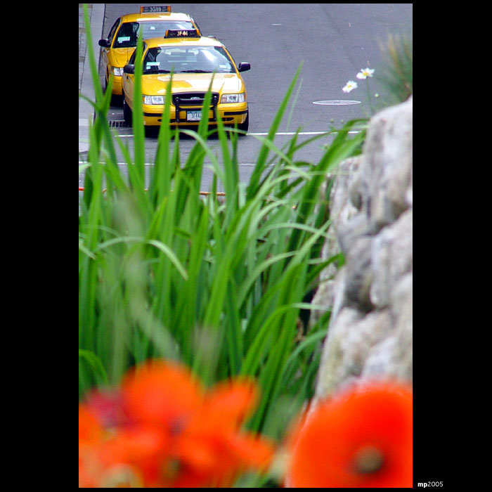 New York v lete