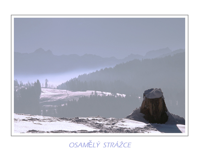 Osamělý strážce