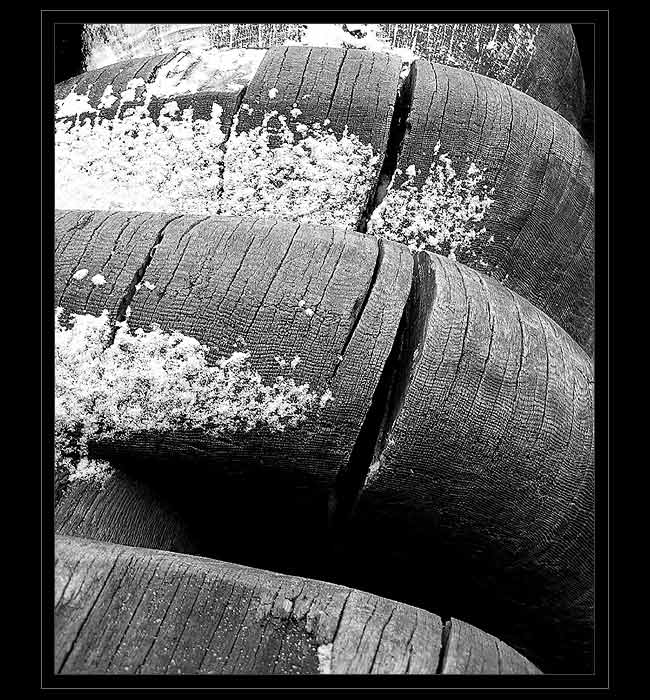 ...linie dřeva a první sníh I.