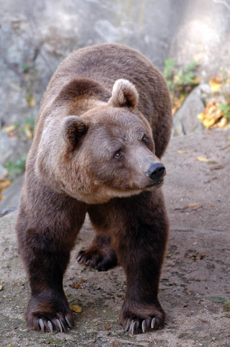 Foto do zoo-občanky :)