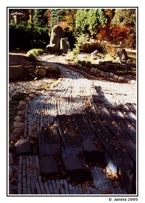 Japonská zahrada I.