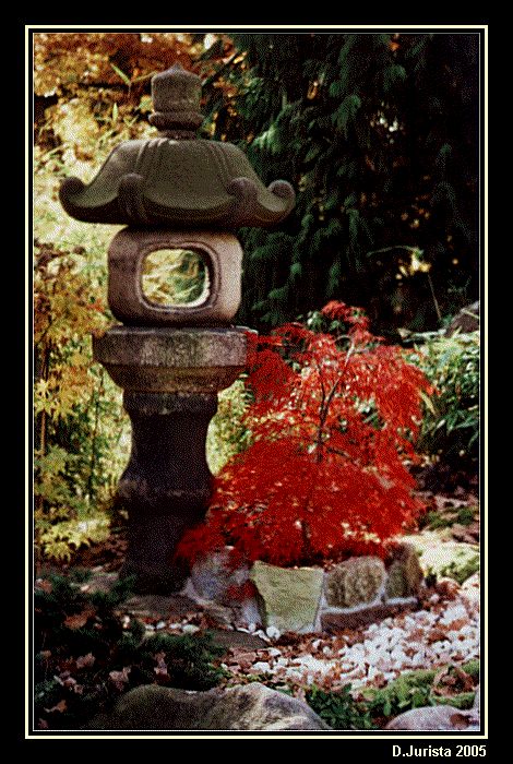 Japonská zahrada II.