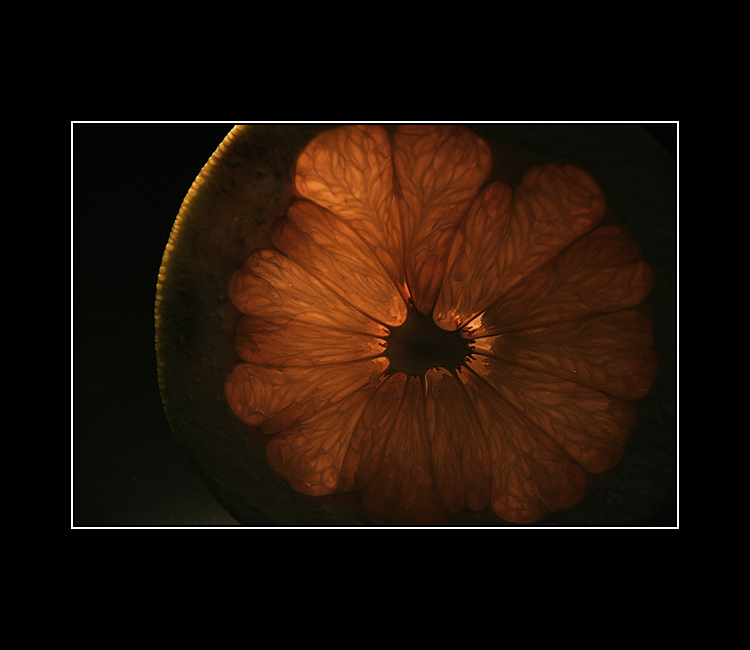 Citron-2