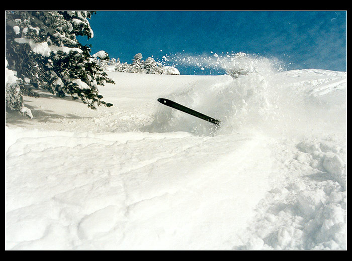 Jeden tygr v Zillertálu