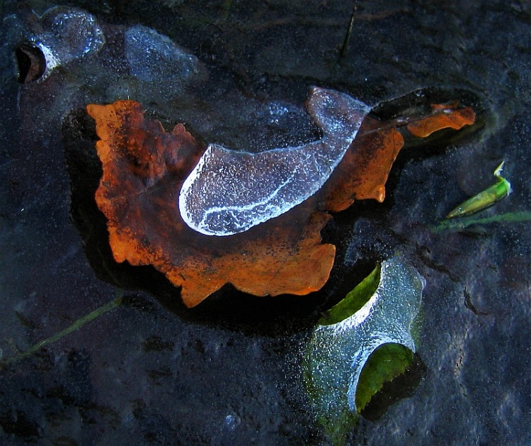 Křišťálové zakletí