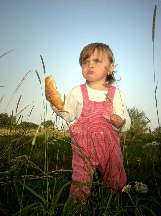Letos byla příliš vysoká tráva