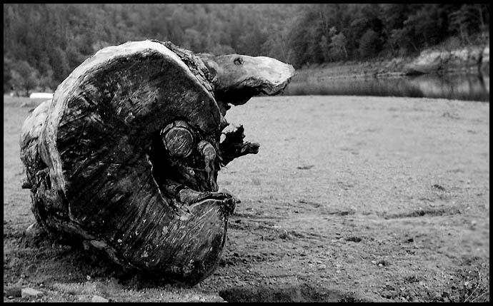 Tvor lapený do dřeva