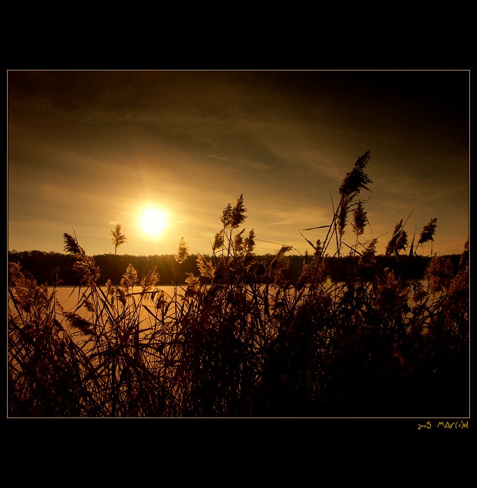 ..:: slunce v duŠi ::..