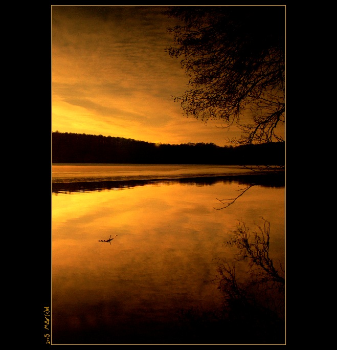 ..:: EmocE III. ::..