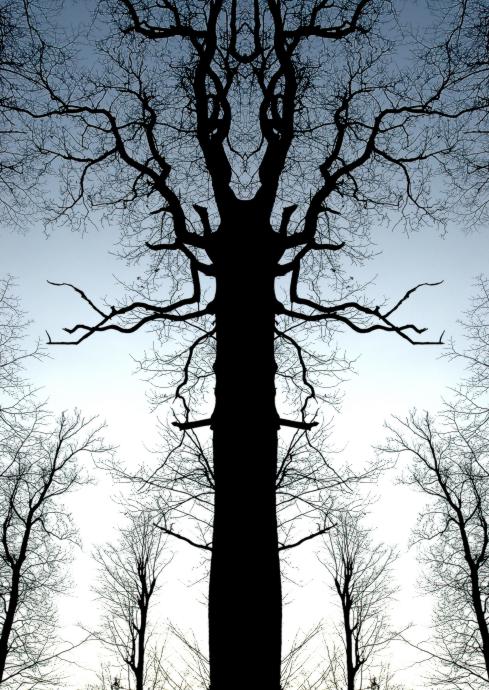 Pravidelnost podzimu