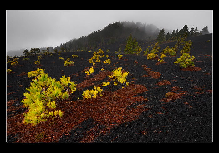 La Palma
