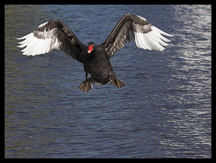 Těsně před přistáním