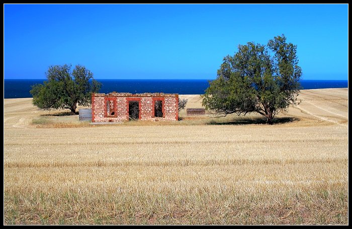 Uprostřed pole, uprostřed léta