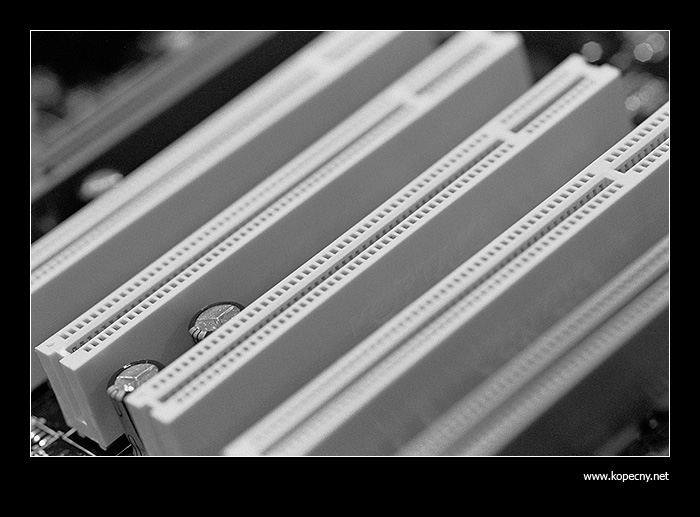 The Slots