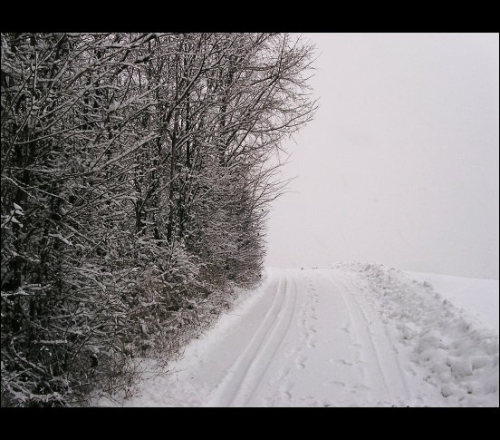 2006: road to nowhere?