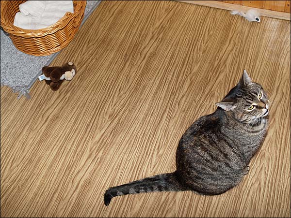 Trudy nemá ráda Vánoce