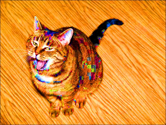 Yupeee!! SilvesTr.  Hodně štěstí indajír 2006 vinšuje šťastná kočičaká Trudy