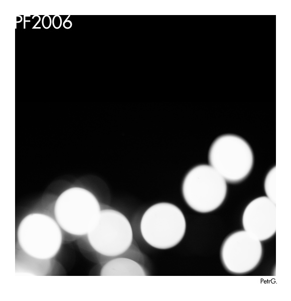 PF2006