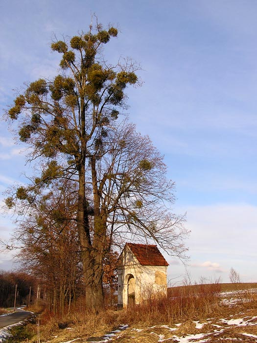 Kaplička