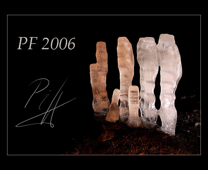 PF 2006