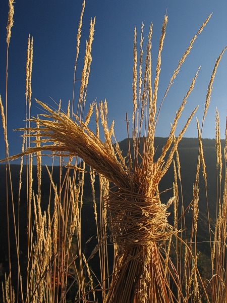 abych nezapomněl...