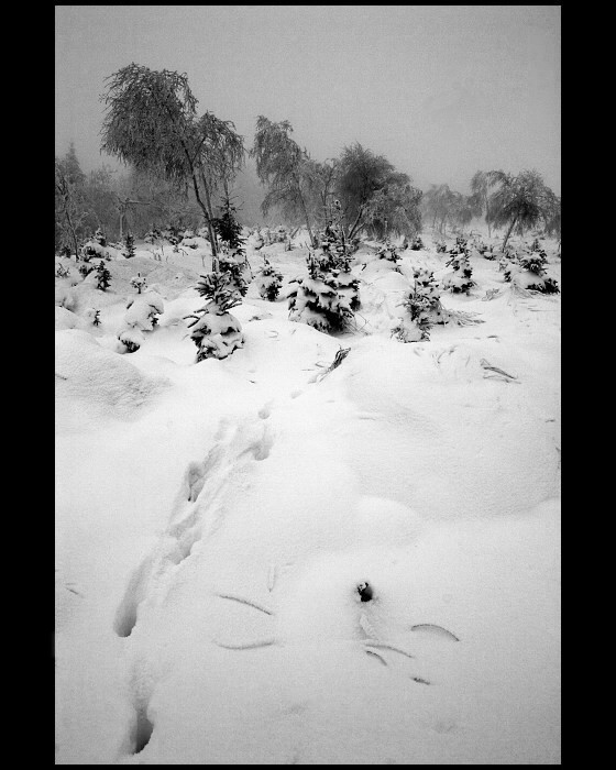 Krušné hory(2)