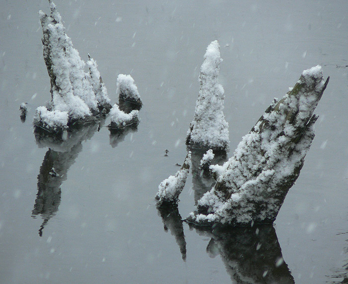 Zimní mužíci rokují...