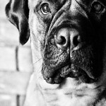 Zoe /jméno z papírů si nepamatuju :)