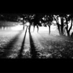 Stromem a stínem protínám ráno