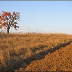 Na pomezí nekonečna...