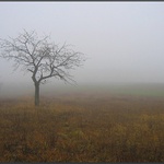 Stál tam stranou...