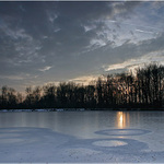 Podvečerní rybník